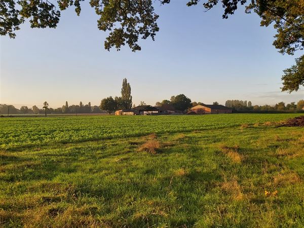 Deze te renoveren hoeve staat op een perceeloppervlakte van 5549 m².
Uitzonderlijk rustige ligging met een prachtig en beschermd zicht in het wonde...