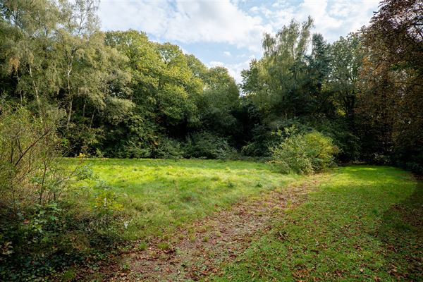 Uniek gelegen perceel bouwgrond in het dorp van Deurle.
Dit zonrijk perceel van 2805 m2 geniet een zuid-westelijke oriëntatie.
Gelegen aan een deel...