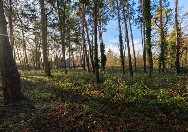 Uniek gelegen perceel bouwgrond te Sint-martens-Latem
Dit zonrijk perceel van 4500m2 geniet een zuid-westelijke oriëntatie.
Dit perceel is gelegen ...