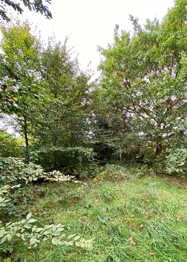 Private sale! Leuke bouwgrond in Nazareth na afbraak van de bestaande woning.
Deze bouwgrond is gelegen in de nabijheid van de winkels en scholen in...