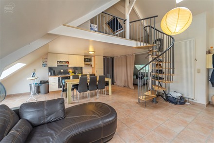 Appartement au 2ème étage disposant d'un espace de vie ouvert sur une cuisine équipée, une salle de douche avec WC et une chambre en mezzanine. Ja...