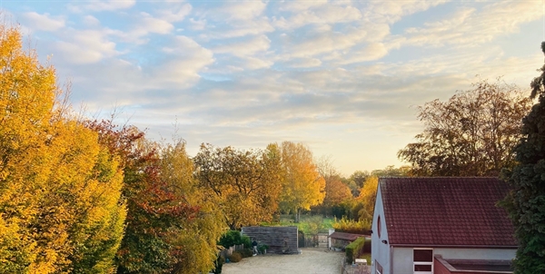Herenhuis met extra woning op 1ha grond