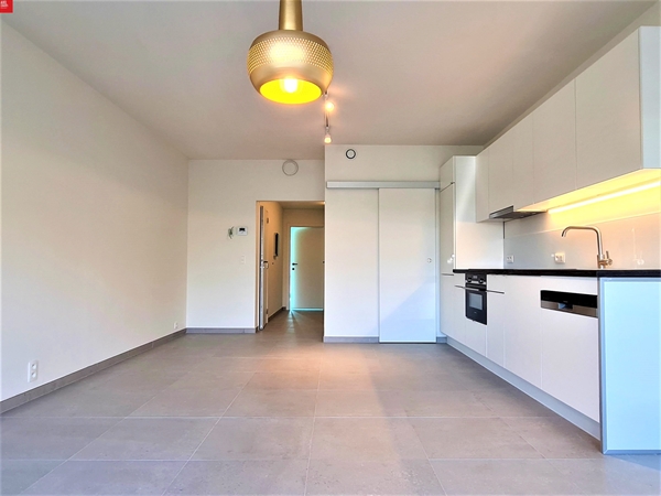 Gerenoveerd en instapklaar gelijkvloers appartement te huur in Sint-Niklaas